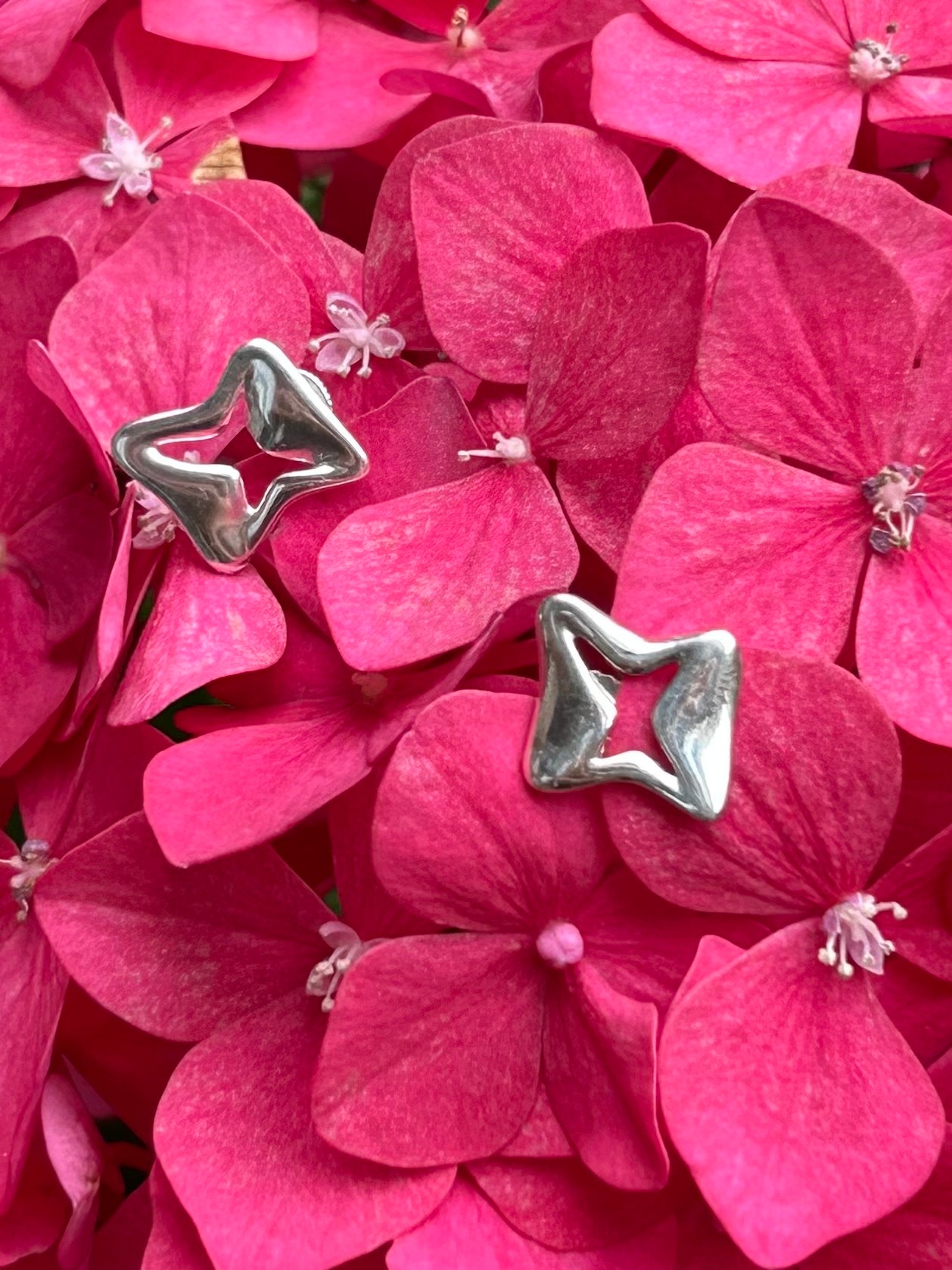 VIOLET STUDS